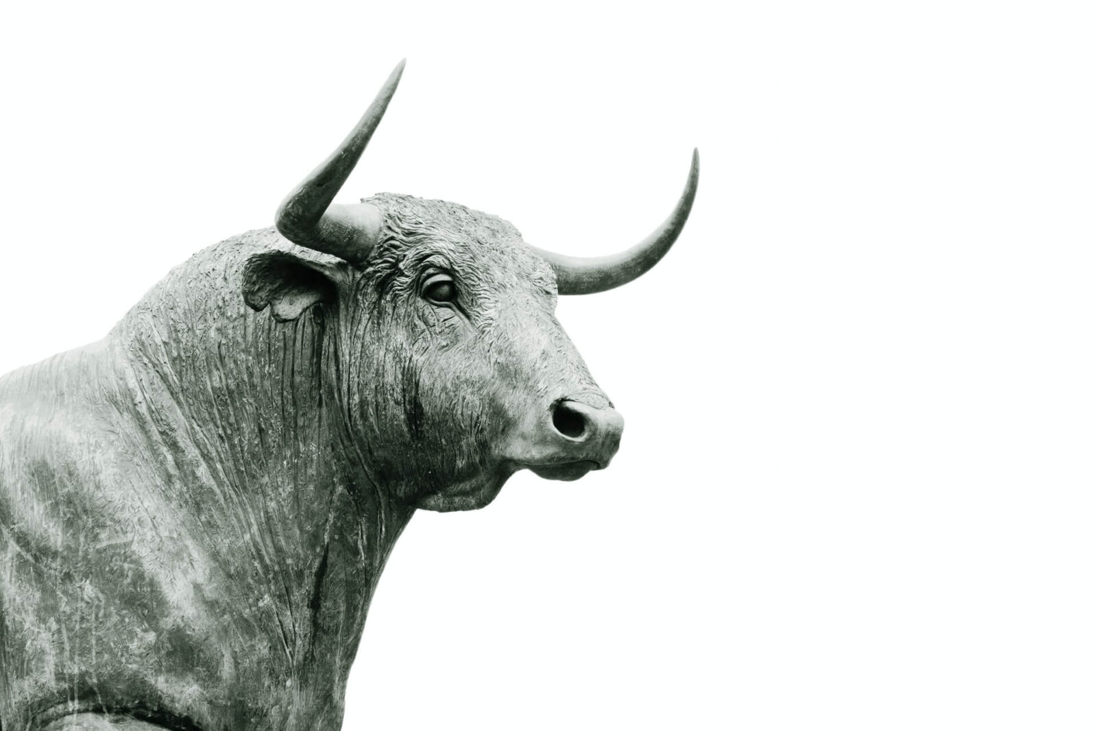 Bull run in the stock market